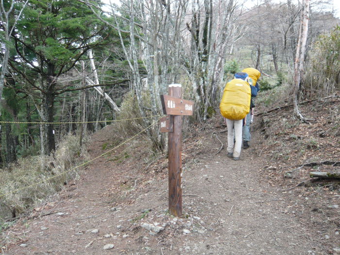 雲取山荘へのまき道